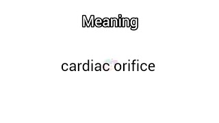 cardiacorifice meaning in English amp TeluguGoogulDictionary dictionary meanings telugu english [upl. by Stryker]