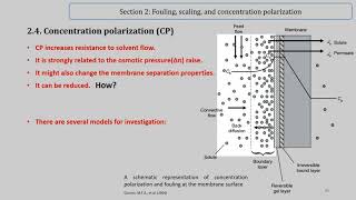 Concentration Polarization Excerpts from lecture 8 [upl. by Aneehsar]