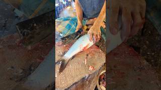 Amazing Big Mrigal Fish Cutting Skills Live In BD Fish8Market [upl. by Ajan]