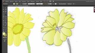 schets overtrekken in Illustrator [upl. by Dranyar]