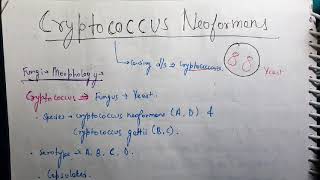 Cryptococcus neoformans Microbiology [upl. by Yentihw]