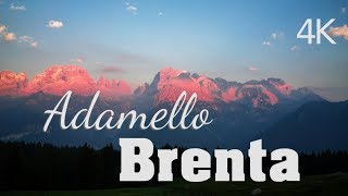 DOLOMITI  Parco Naturale Adamello Brenta  Timelapse  4K [upl. by Nerw638]