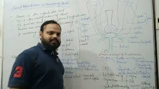 Introduction of reproduction in Flowering plant L1 [upl. by Ennavoj]