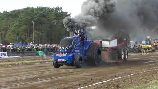 Forest King  Super sport 4500 kg  Laholms pullingfestival 2024 [upl. by Skillern]