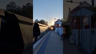 QUBE grain train at Muswellbrook StationNSW Australia [upl. by Aniehs]