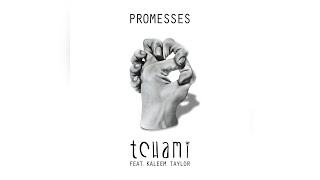 Tchami  Promesses feat Kaleem Taylor Preditah Remix [upl. by Westleigh]