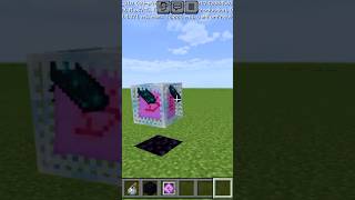 MINECRAFT TIKTOK HACKshorts [upl. by Sivert]