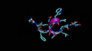 Folding dynamics of p53 PhosphorylatedT18 Movie S10 [upl. by Aihsoj]