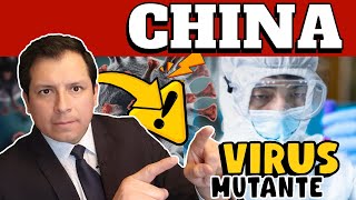 ¡ALERTA ¿CHINA DESARROLLA NUEVO VIRUS MUTANTE ¿RIESGO DE PANDEMIA ¿SE REPITE LA HISTORIA [upl. by Innavoig]