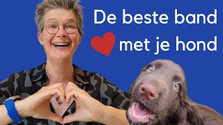 5 tips voor de beste band met je hond Precies 100 videos op dit kanaal passievoorhonden [upl. by Ylrad]