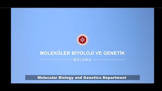 İYTE Moleküler Biyoloji ve Genetik  IZTECH Molecular Biology and Genetics Department [upl. by Rogerson622]