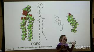 Membrane Elasticity and Thermodynamics III  M Deserno July 4 BSS 2024 [upl. by Atiner]