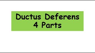 Ductus Deferens 4 parts anatomy biology reproduction [upl. by Zeta157]