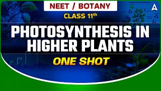 PHOTOSYNTHESIS IN HIGHER PLANTS CLASS 11 ONE SHOT  निर्णायक SERIES NEET 2024  BOTANY BY SANKALP [upl. by Nitniuq]