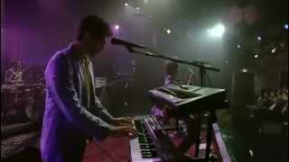 MGMT Live on David Letterman FULL SHOW [upl. by Innek]