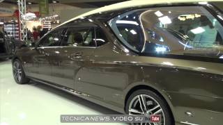 Tanexpo Fiera Int Arte Funer  Biemme Specialcars Bologna 2123 Marzo 2014  Tecnicanews Video [upl. by Repard210]