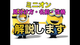 【解説】ミニオンの見分け方，名前，性格解説します。 [upl. by Gratia]