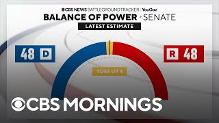 Key states in Senate race what issues impact voters [upl. by Nnylarej951]