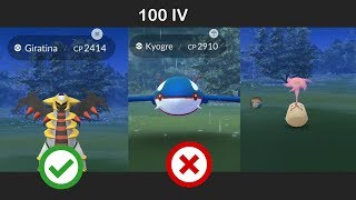 Max 100 IV Giratina through the Fog Escaping Perfect Kyogre  Spirit Bomb Quest [upl. by Adnoel619]