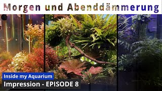 Morgen und Abenddämmerung im Aquarium  Episode 8  Aquarium Impression [upl. by Sidman]