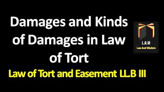 Damages and Kinds of Damages  Law of Torts and Easement [upl. by Selin997]