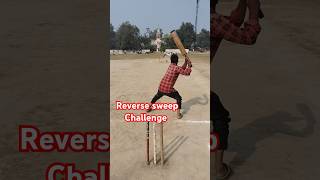 Reverse sweep 4 run Challenge 🏏😱 cricketshorts cricket cricketvideo [upl. by Storfer59]