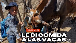 Así Le Di Comida A Las Vacas EN EL RANCHO🐄 [upl. by Lyrradal891]