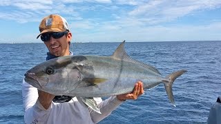 Amberjacks Round 2  ft Chew On This 1Rod1ReelFishing amp LunkersTV [upl. by Auqenwahs]