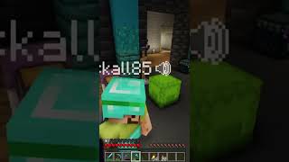 Iskall Goes Insane minecraft hermitcraft gaming funny hermits iskall85 stressmonster [upl. by Airliah15]