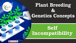 Plant Breeding amp genetics Concepts  Self Incompatibility  Heteromorphic  Homomorphic [upl. by Trill]