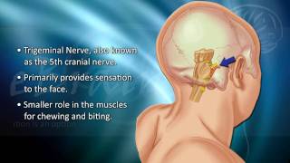 Understanding Trigeminal Neuralgia  eBrainMDcom [upl. by Afesoj]