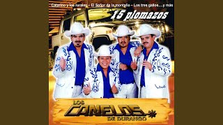 El Corrido de Wizol [upl. by Tobye]