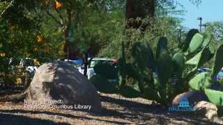 Pima County Native Plant Nursery [upl. by Alvira398]