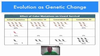 Chapter 17 Part 3  Evolution as Genetic Change [upl. by Subocaj]