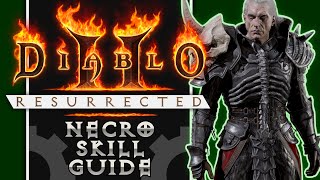 The Complete Guide to Necromancer Skills in Diablo 2 [upl. by Mariya225]