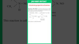 Reaction with NOCl  Chemical Properties of Amines  JEE  NEET  BITSAT [upl. by Bomke928]