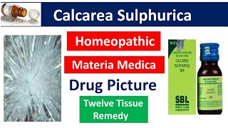 Calcarea Sulphurica Homeopathic Medicine Drug PictureMateria Medica bhms materiamedica calcarea [upl. by Nilekcaj]