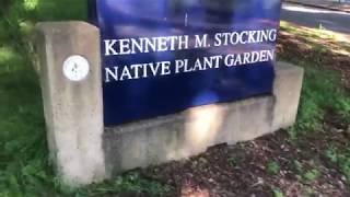 The Kenneth M Stocking Native Plant Garden at Sonoma State University [upl. by Cicily]