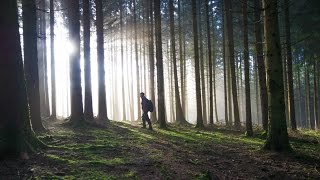 Metal detecting quotArdennes Forest SPECIALquot 25 [upl. by Alliuqat306]