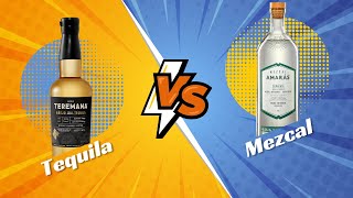 DIFERENCIAS entre TEQUILA y MEZCAL [upl. by Vallonia231]