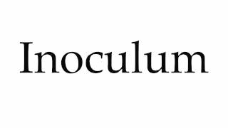 How to Pronounce Inoculum [upl. by Bernard]