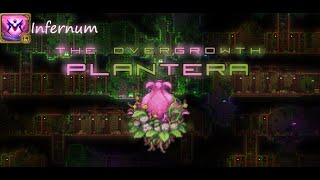 Plantera  Calamity Infernum mode Ranger [upl. by Bushey532]