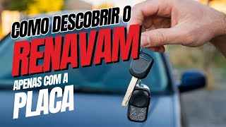 Como Consultar Renavam Pela Placa  Passo a Passo [upl. by Newman882]