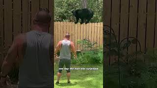 A bear family moved into the man’s home animals bear friendship shorts [upl. by Heimer]