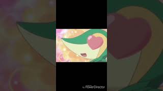 Snivy AMV  Blow [upl. by Einra660]