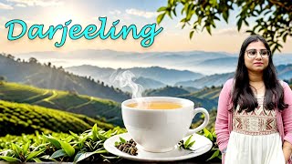 Darjeeling Hotels Near Mall Road  Shopping In Darjeeling  Kunga Restaurant Glenarys Darjeeling [upl. by Eatnoj726]