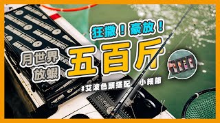 ＃蝦場老闆的眼淚｜五百斤初體驗 ｜手抓蝦合法｜眼淚竿彎度｜艾波色頭運用｜台中網紅釣蝦場 [upl. by Heman613]