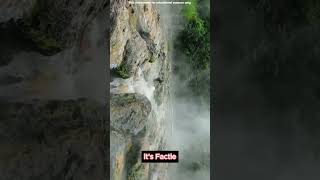 Physics of Boiling stream in Amazon Forest shorts [upl. by Gibeon687]