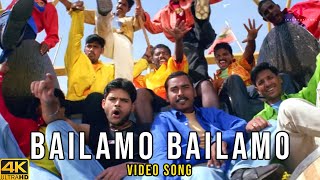 Bailamo Bailamo 4K Song  Bala Movie Songs  Shaam  Meera Jasmine  Yuvan Shankar Raja [upl. by Kynthia]