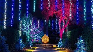 A Longwood Christmas Lights up the Night with Half a Million Lights 2022 [upl. by Edyaj]